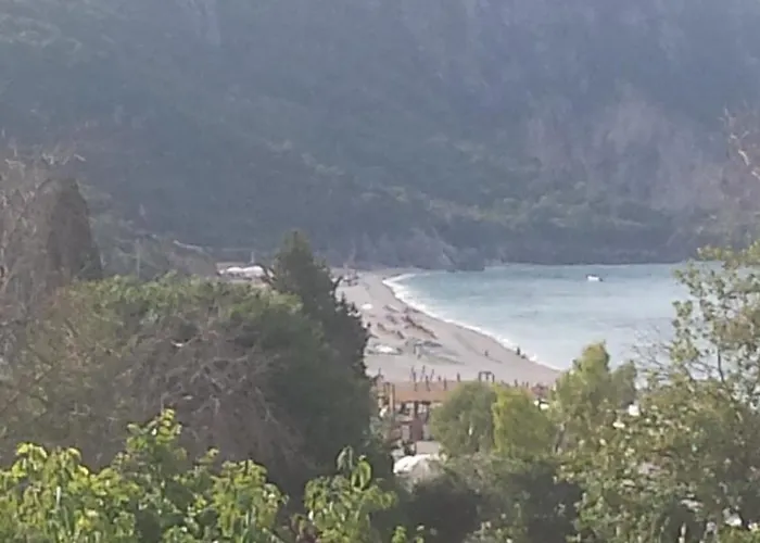 ゲストハウス Plazhi